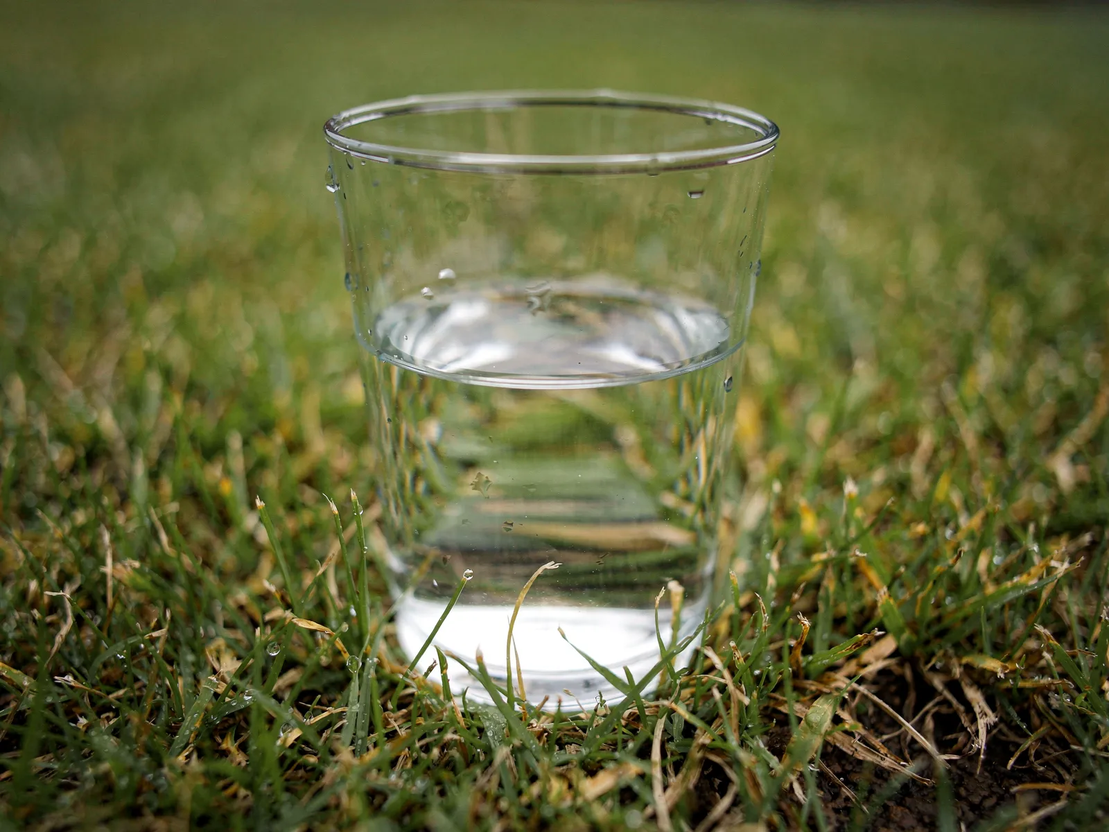 Glas mit Wasser steht im Rasen für den Becher-Test
